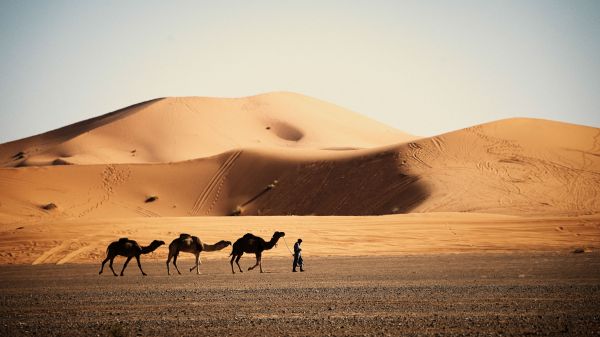 Morocco Photo Tour 1