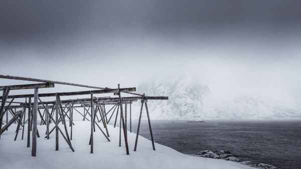Lofoten Islands Photography Workshop 1