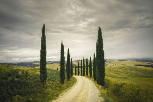 Tuscany Spring Photography Workshop 1