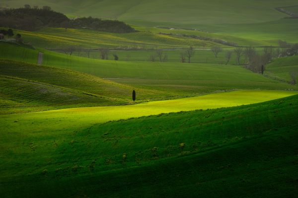 Tuscany Spring Photography Workshop 1