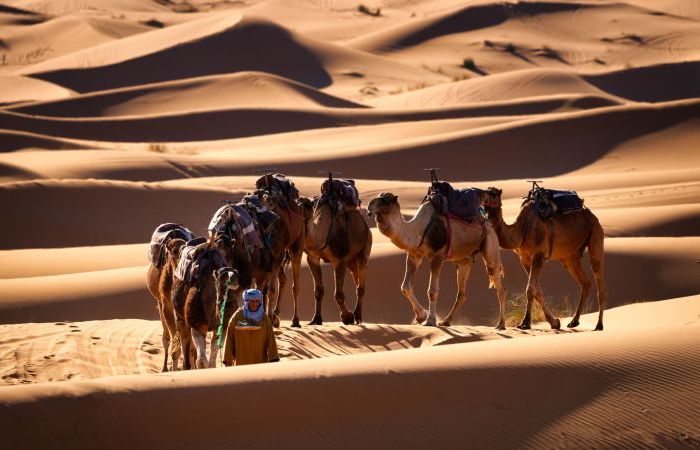 Morocco Photo Tour